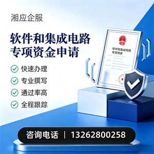 东莞软件和集成电路专项资金申报服务
