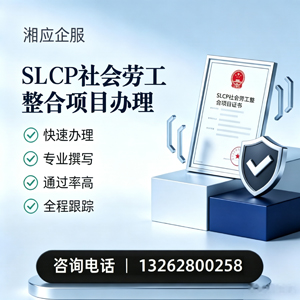 东莞SLCP社会劳工整合项目申报服务