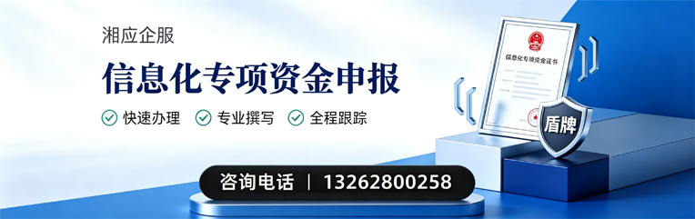 东莞信息化专项资金申报服务