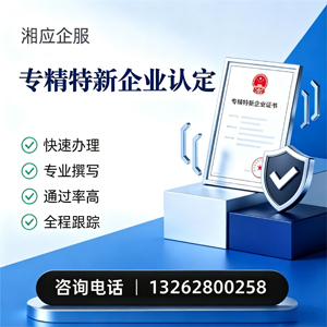 东莞专精特新企业申报服务