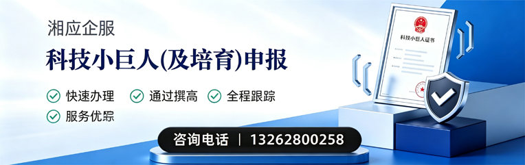 东莞科技小巨人及培育企业申报服务