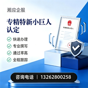 东莞专精特新小巨人申报服务