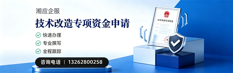 东莞技术改造专项资金申报服务
