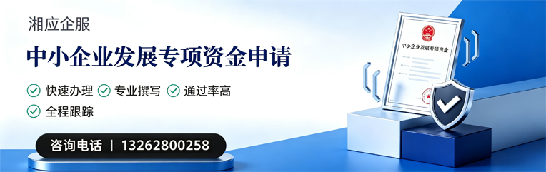 东莞中小企业发展专项资金申报服务