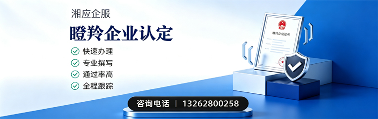 东莞瞪羚企业认定申报服务