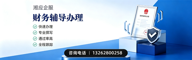 东莞财务辅导申请服务