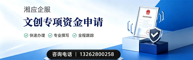 东莞文创专项资金申报服务