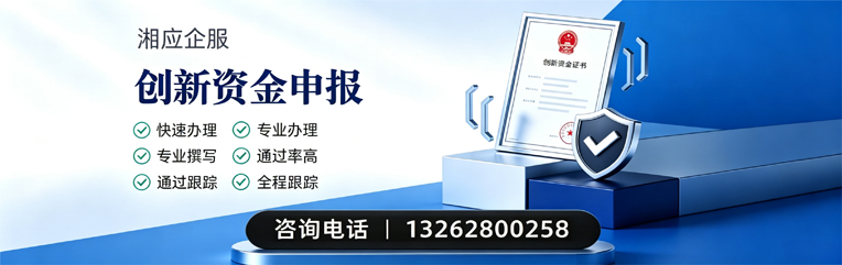 东莞创新资金申报服务