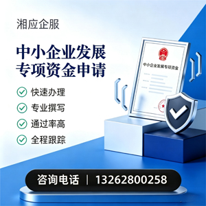 东莞中小企业发展专项资金申报服务