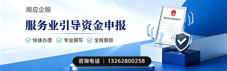 东莞服务业引导资金申报服务