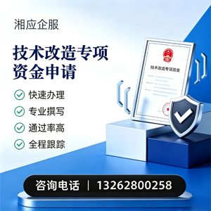 东莞技术改造专项资金申报服务