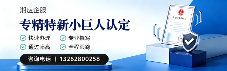 东莞专精特新小巨人申报服务
